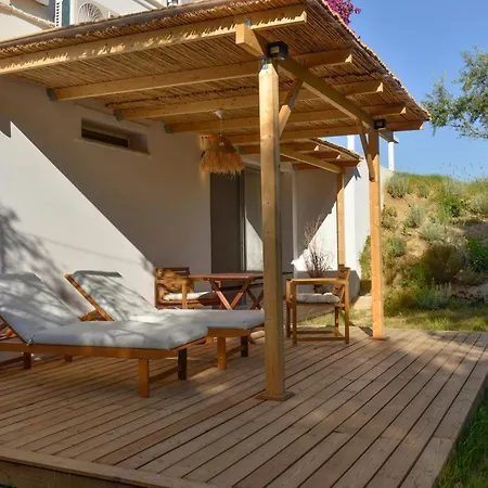 Olivemare カテリオス