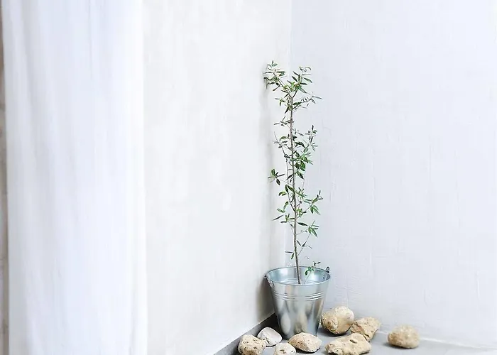 Olivemare Hotell Kateleios