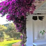 Otel Olivemare 3*