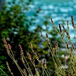 Olivemare Otel Kateleios