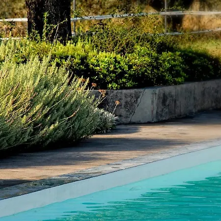 Olivemare 3* Kateleios