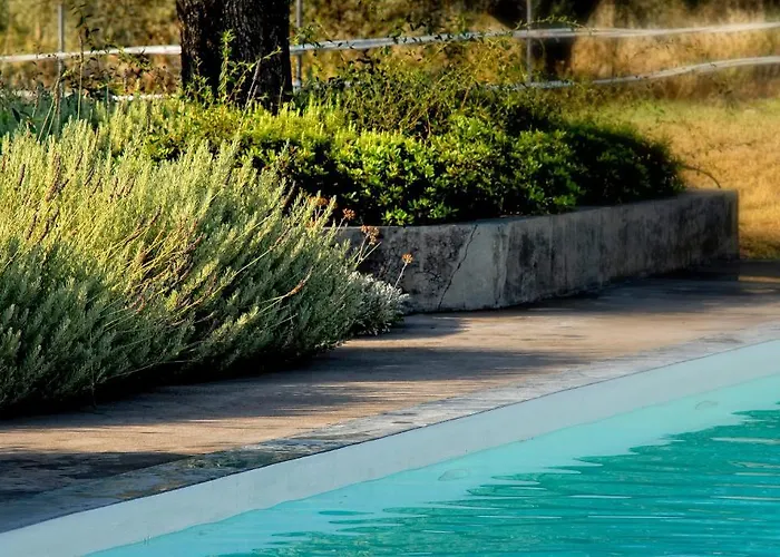 Olivemare 3* Κατελειός