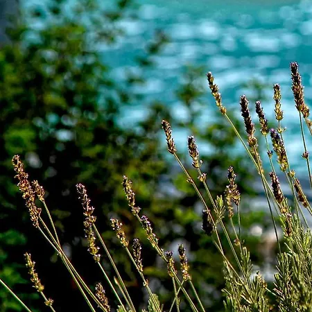 Olivemare Отель Кателиос