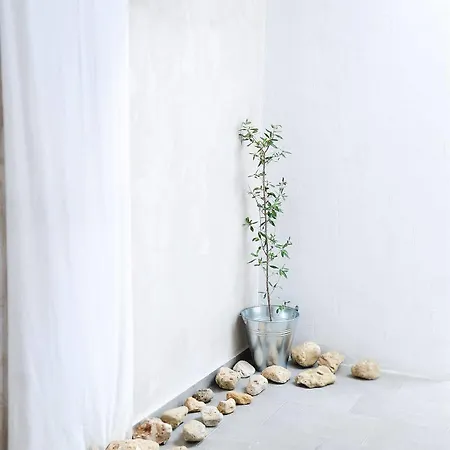 Olivemare Отель Кателиос